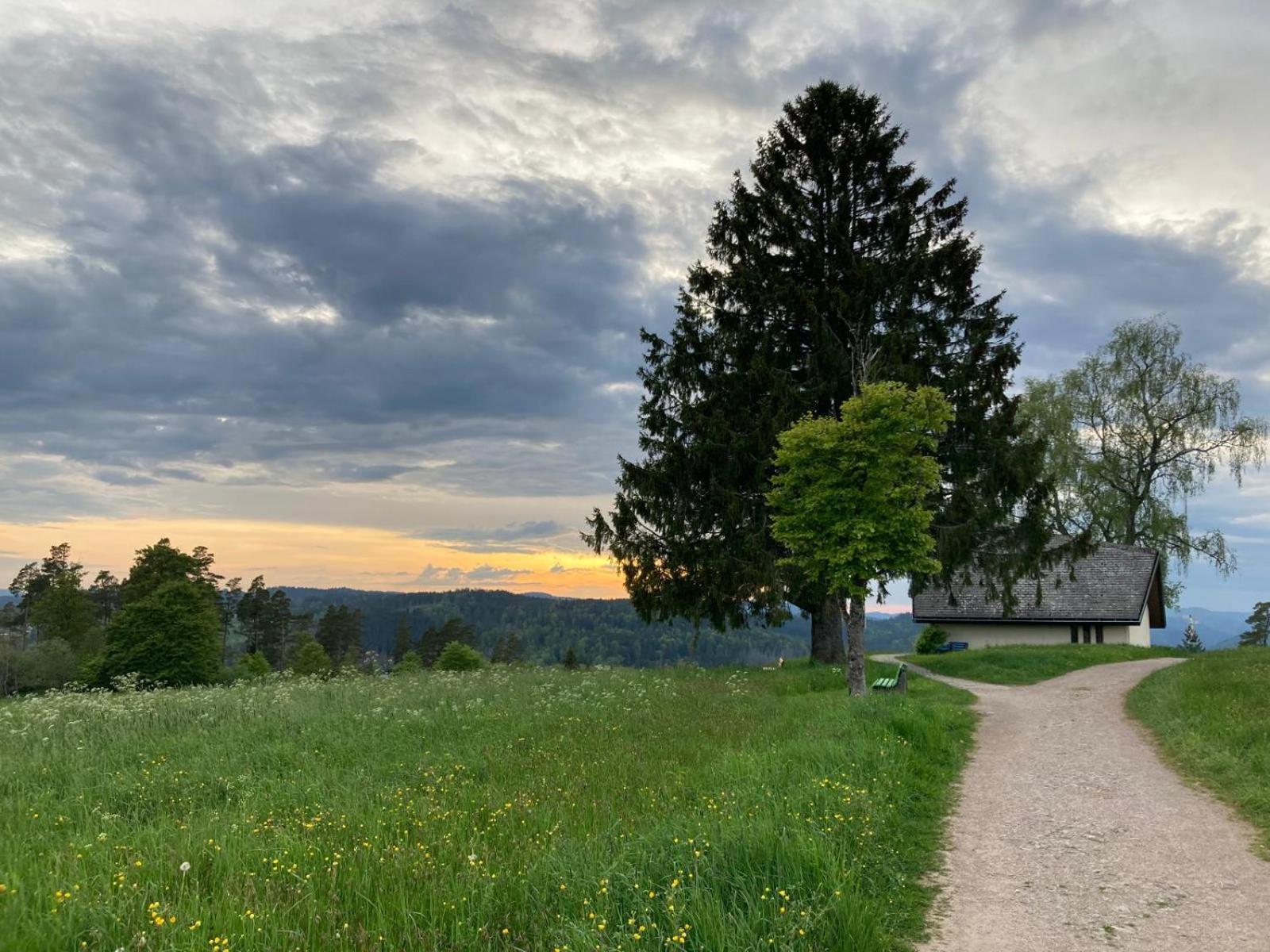 Haus Hanni Höchenschwand Esterno foto